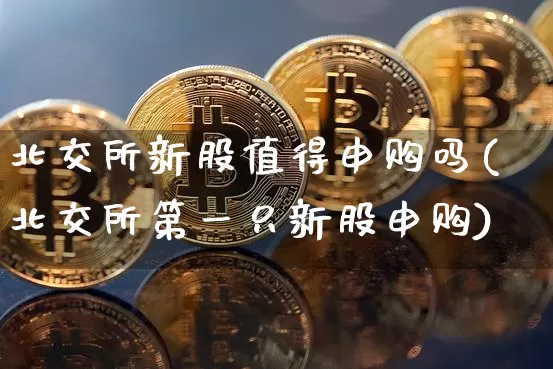 北交所新股值得申购吗(北交所第一只新股申购)_https://www.cangshenghg.com_A股_第1张