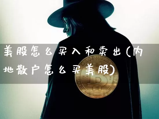 美股怎么买入和卖出(内地散户怎么买美股)_https://www.cangshenghg.com_北交所_第1张