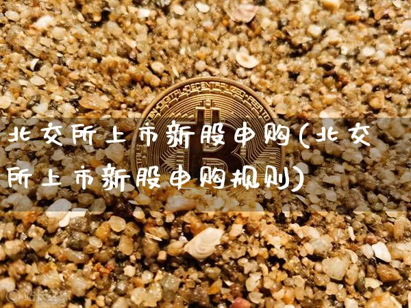 北交所上市新股申购(北交所上市新股申购规则)_https://www.cangshenghg.com_财经新闻_第1张