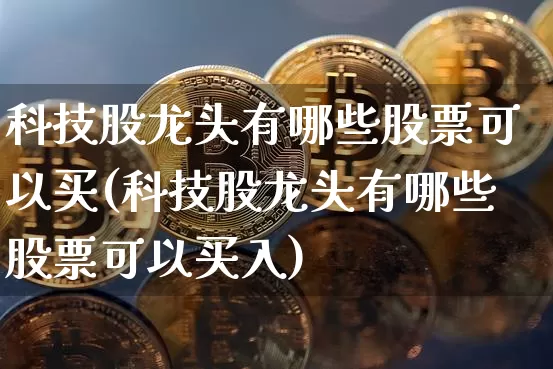 科技股龙头有哪些股票可以买(科技股龙头有哪些股票可以买入)_https://www.cangshenghg.com_创业板_第1张