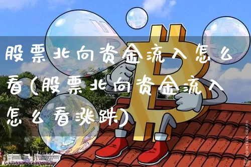 股票北向资金流入怎么看(股票北向资金流入怎么看涨跌)_https://www.cangshenghg.com_科创板_第1张