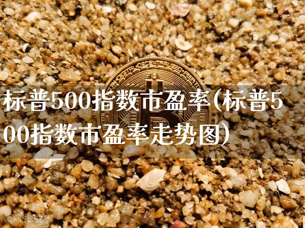标普500指数市盈率(标普500指数市盈率走势图)_https://www.cangshenghg.com_科创板_第1张