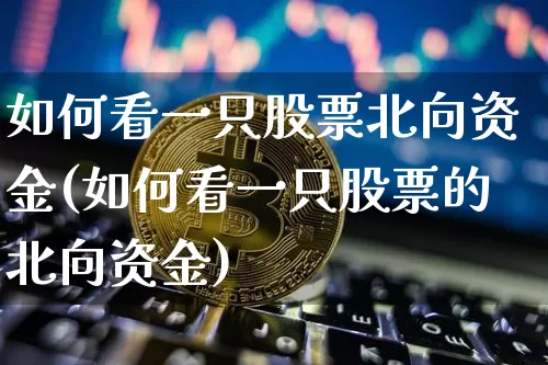如何看一只股票北向资金(如何看一只股票的北向资金)_https://www.cangshenghg.com_财经新闻_第1张