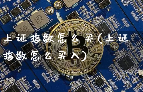 上证指数怎么买(上证指数怎么买入)_https://www.cangshenghg.com_北交所_第1张