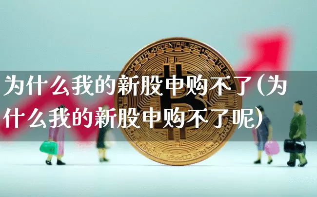 为什么我的新股申购不了(为什么我的新股申购不了呢)_https://www.cangshenghg.com_北交所_第1张