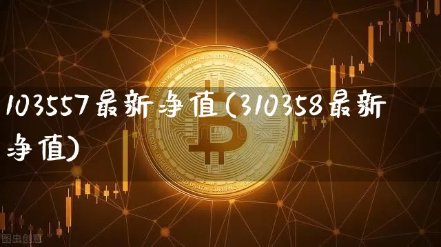 103557最新净值(310358最新净值)_https://www.cangshenghg.com_创业板_第1张
