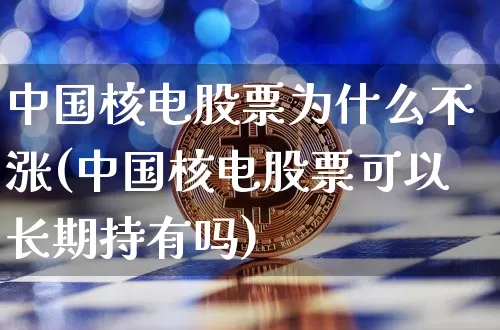 中国核电股票为什么不涨(中国核电股票可以长期持有吗)_https://www.cangshenghg.com_财经新闻_第1张