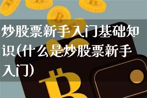 炒股票新手入门基础知识(什么是炒股票新手入门)_https://www.cangshenghg.com_北交所_第1张