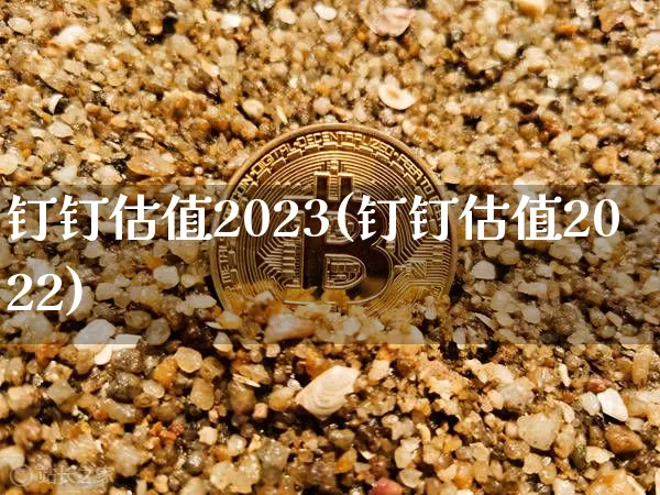 钉钉估值2023(钉钉估值2022)_https://www.cangshenghg.com_科创板_第1张
