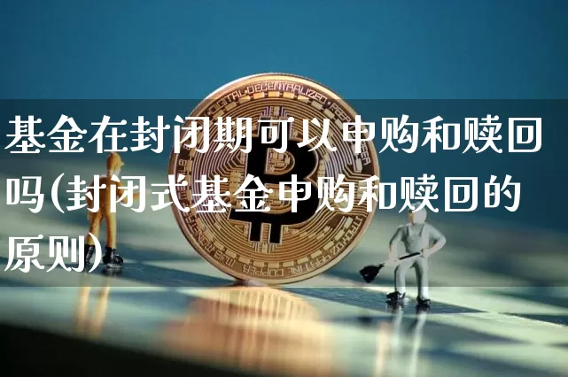 基金在封闭期可以申购和赎回吗(封闭式基金申购和赎回的原则)_https://www.cangshenghg.com_北交所_第1张