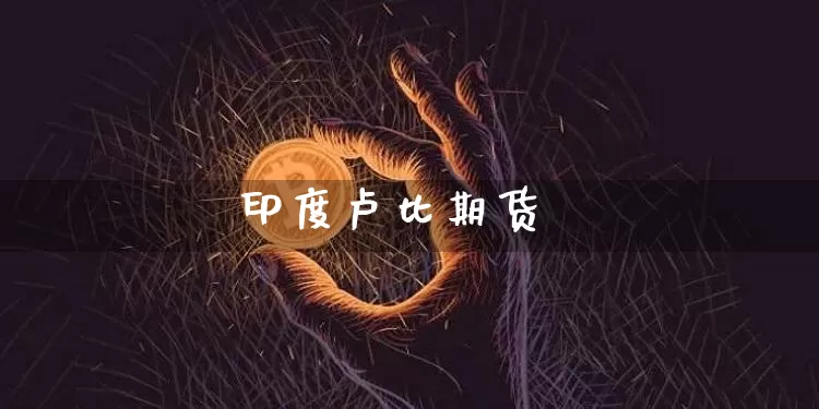 印度卢比期货_https://www.cangshenghg.com_北交所_第1张