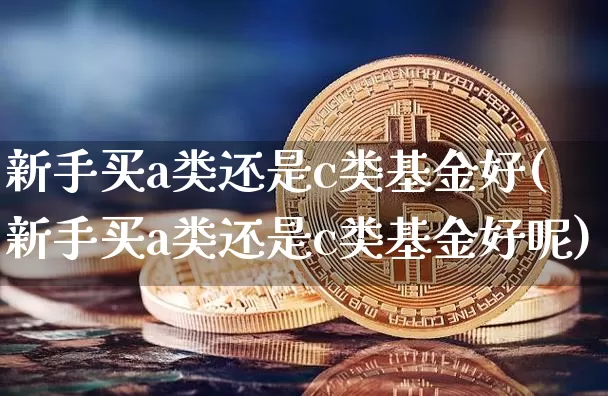 新手买a类还是c类基金好(新手买a类还是c类基金好呢)_https://www.cangshenghg.com_科创板_第1张