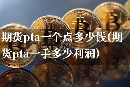 期货pta一个点多少钱(期货pta一手多少利润)_https://www.cangshenghg.com_北交所_第1张