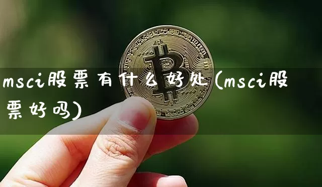 msci股票有什么好处(msci股票好吗)_https://www.cangshenghg.com_科创板_第1张