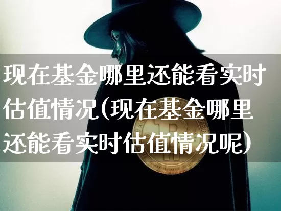 现在基金哪里还能看实时估值情况(现在基金哪里还能看实时估值情况呢)_https://www.cangshenghg.com_科创板_第1张