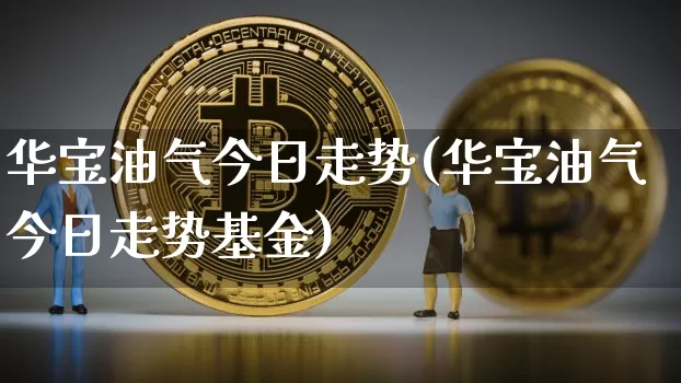 华宝油气今日走势(华宝油气今日走势基金)_https://www.cangshenghg.com_北交所_第1张