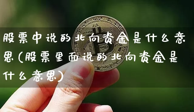 股票中说的北向资金是什么意思(股票里面说的北向资金是什么意思)_https://www.cangshenghg.com_北交所_第1张