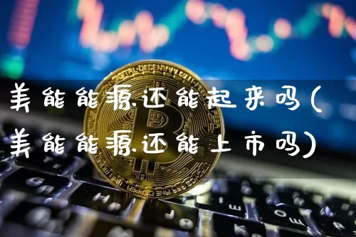 美能能源还能起来吗(美能能源还能上市吗)_https://www.cangshenghg.com_创业板_第1张