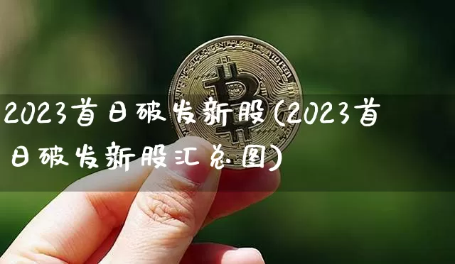 2023首日破发新股(2023首日破发新股汇总图)_https://www.cangshenghg.com_财经新闻_第1张