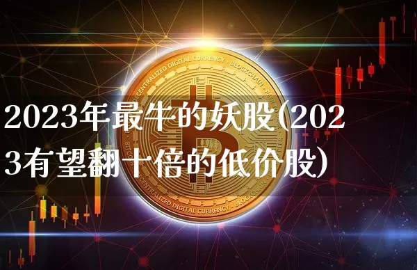 2023年最牛的妖股(2023有望翻十倍的低价股)_https://www.cangshenghg.com_北交所_第1张