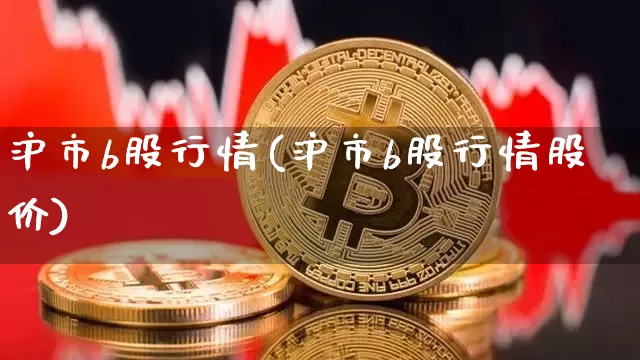 沪市b股行情(沪市b股行情股价)_https://www.cangshenghg.com_A股_第1张