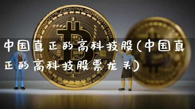 中国真正的高科技股(中国真正的高科技股票龙头)_https://www.cangshenghg.com_北交所_第1张