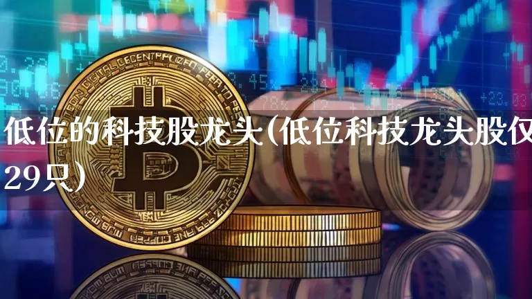 低位的科技股龙头(低位科技龙头股仅29只)_https://www.cangshenghg.com_创业板_第1张