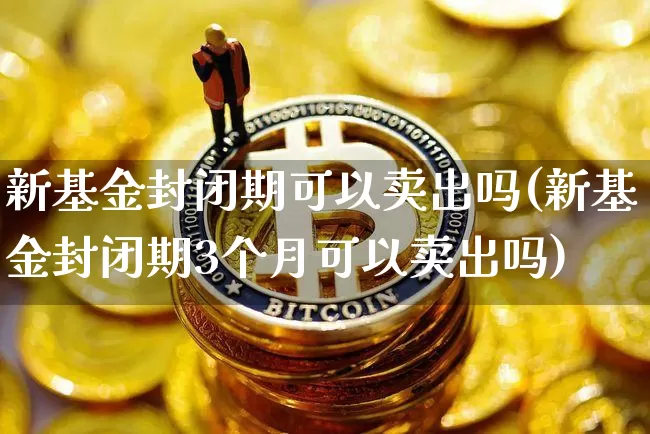 新基金封闭期可以卖出吗(新基金封闭期3个月可以卖出吗)_https://www.cangshenghg.com_财经新闻_第1张