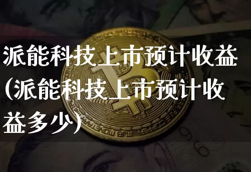 派能科技上市预计收益(派能科技上市预计收益多少)_https://www.cangshenghg.com_北交所_第1张