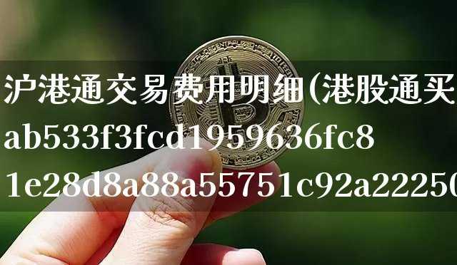 沪港通交易费用明细(港股通买入成本高3%)_https://www.cangshenghg.com_财经新闻_第1张