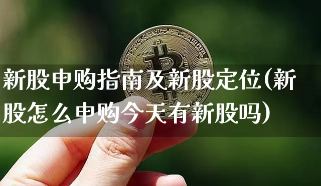 新股申购指南及新股定位(新股怎么申购今天有新股吗)_https://www.cangshenghg.com_财经新闻_第1张