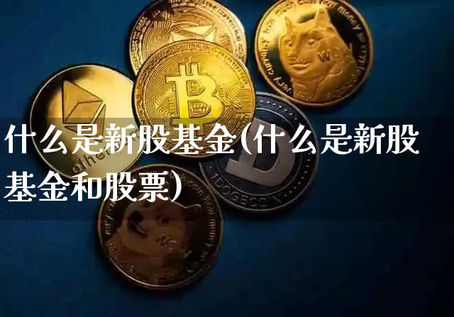 什么是新股基金(什么是新股基金和股票)_https://www.cangshenghg.com_北交所_第1张