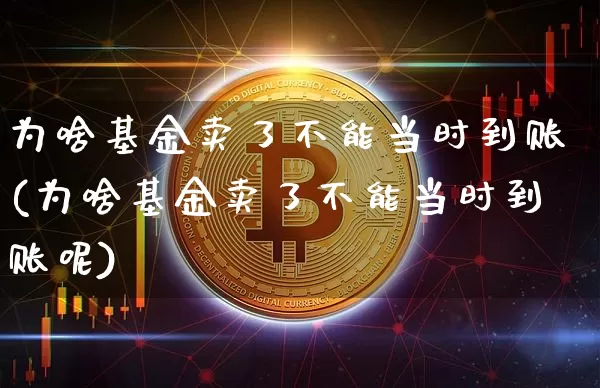 为啥基金卖了不能当时到账(为啥基金卖了不能当时到账呢)_https://www.cangshenghg.com_科创板_第1张