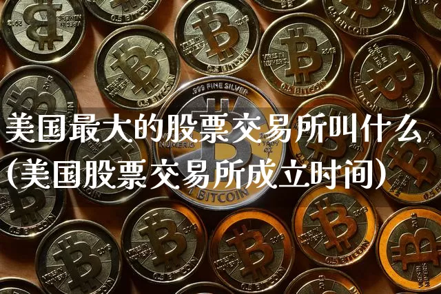 美国最大的股票交易所叫什么(美国股票交易所成立时间)_https://www.cangshenghg.com_科创板_第1张