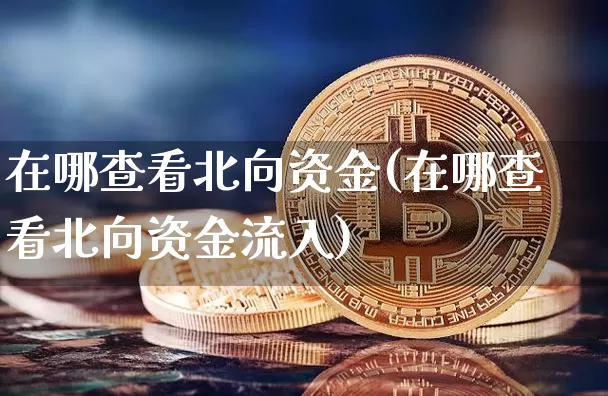 在哪查看北向资金(在哪查看北向资金流入)_https://www.cangshenghg.com_北交所_第1张