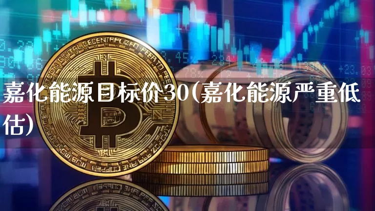 嘉化能源目标价30(嘉化能源严重低估)_https://www.cangshenghg.com_创业板_第1张