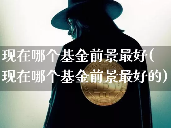 现在哪个基金前景最好(现在哪个基金前景最好的)_https://www.cangshenghg.com_科创板_第1张