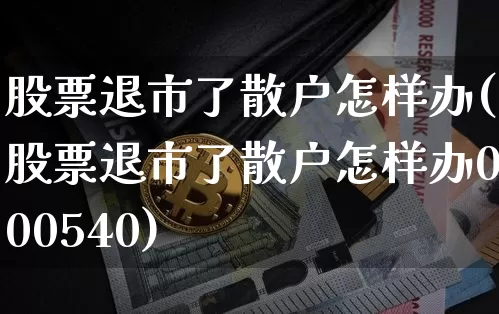 股票退市了散户怎样办(股票退市了散户怎样办000540)_https://www.cangshenghg.com_科创板_第1张