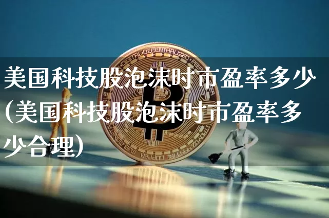 美国科技股泡沫时市盈率多少(美国科技股泡沫时市盈率多少合理)_https://www.cangshenghg.com_创业板_第1张
