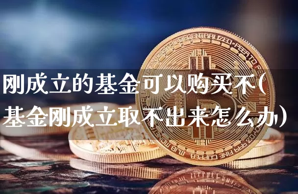 刚成立的基金可以购买不(基金刚成立取不出来怎么办)_https://www.cangshenghg.com_科创板_第1张