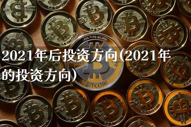 2021年后投资方向(2021年的投资方向)_https://www.cangshenghg.com_科创板_第1张