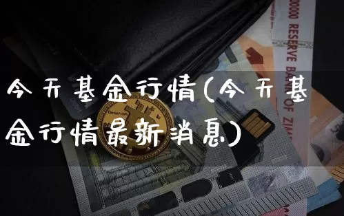 今天基金行情(今天基金行情最新消息)_https://www.cangshenghg.com_科创板_第1张