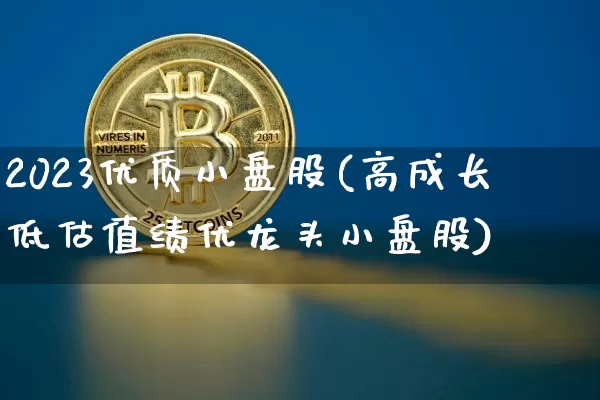 2023优质小盘股(高成长低估值绩优龙头小盘股)_https://www.cangshenghg.com_科创板_第1张