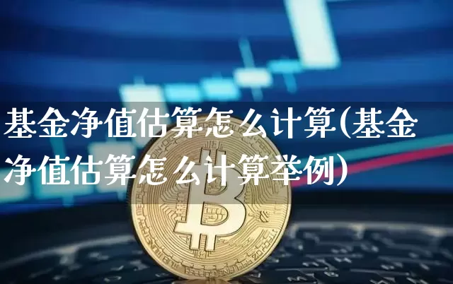 基金净值估算怎么计算(基金净值估算怎么计算举例)_https://www.cangshenghg.com_A股_第1张