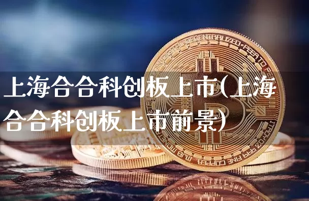 上海合合科创板上市(上海合合科创板上市前景)_https://www.cangshenghg.com_财经新闻_第1张