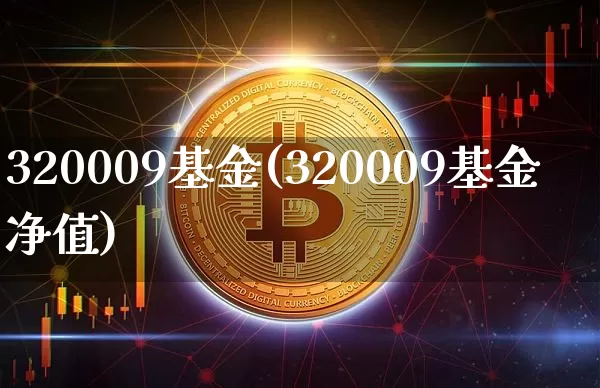 320009基金(320009基金净值)_https://www.cangshenghg.com_北交所_第1张