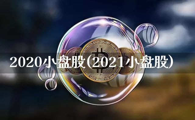 2020小盘股(2021小盘股)_https://www.cangshenghg.com_北交所_第1张