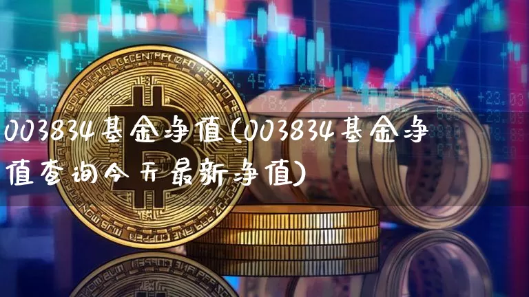 003834基金净值(003834基金净值查询今天最新净值)_https://www.cangshenghg.com_北交所_第1张