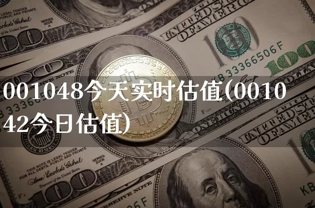 001048今天实时估值(001042今日估值)_https://www.cangshenghg.com_北交所_第1张