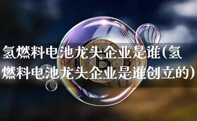 氢燃料电池龙头企业是谁(氢燃料电池龙头企业是谁创立的)_https://www.cangshenghg.com_创业板_第1张